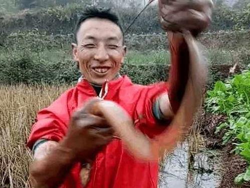 网红黄鳝照片,揭秘网络红人的魅力与争议