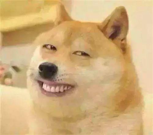 搞笑单身狗图片,搞笑图片带你领略单身生活趣味