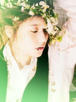 郑氏姐妹背景,传奇家族的辉煌与荣耀