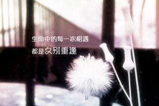 久别重逢图片,久别重逢的温馨瞬间