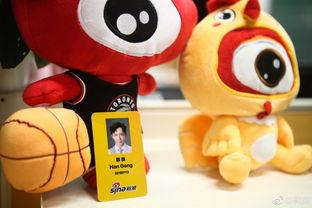 新浪娱乐的工资,揭秘互联网娱乐行业薪酬真相